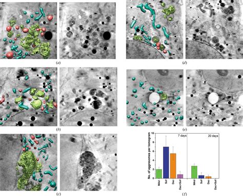 IUCr Monitoring Reversion Of Hepatitis C Virus Induced Cellular