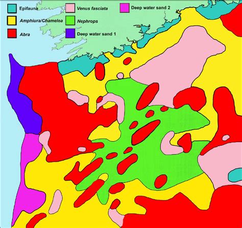 Schematic Representation Of The Major Macrofaunal Benthic Assemblages