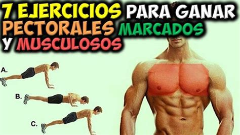 Rutina Ejercicios Para Ganar Masa Muscular En Casa