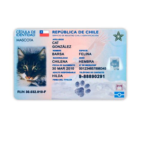 Tarjeta Carnet De Mascota Marsule Tus Momentos En Cer Mica