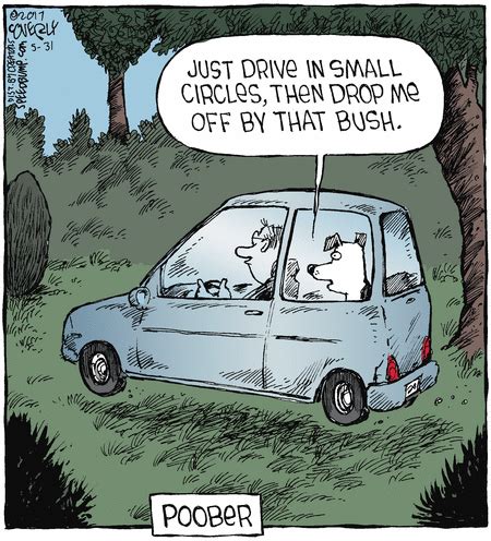 Speed Bump By Dave Coverly For May 31 2017 Read Comic Strips At