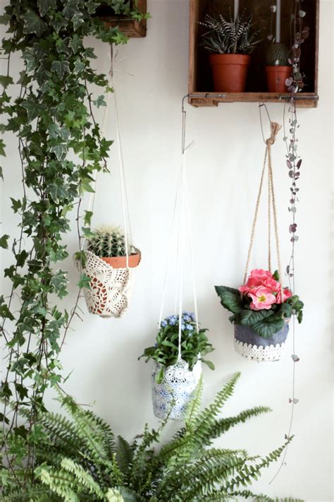 URBAN JUNGLE BLOGGERS FEBRUARY HANGING PLANTERS Lobster And Swan