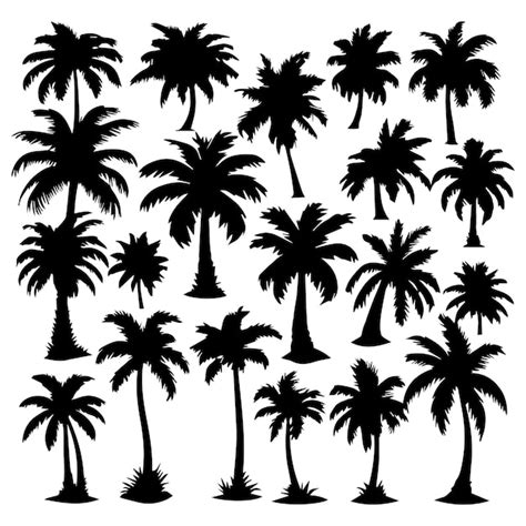 Premium Vector Vector Palm Tree Silhouette Clip Art Sets