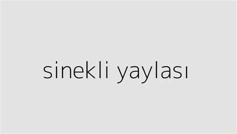 Sinekli Yaylas Holitera Blog