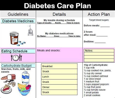 Diabetic Meal Planner Template Diabetes Care Plan Simple Template Design