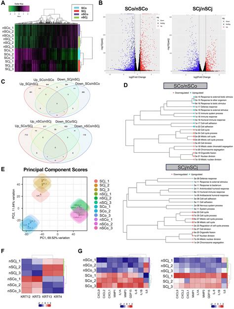 Gene Expression Signatures Of Human Senescent Corneal And Conjunctival