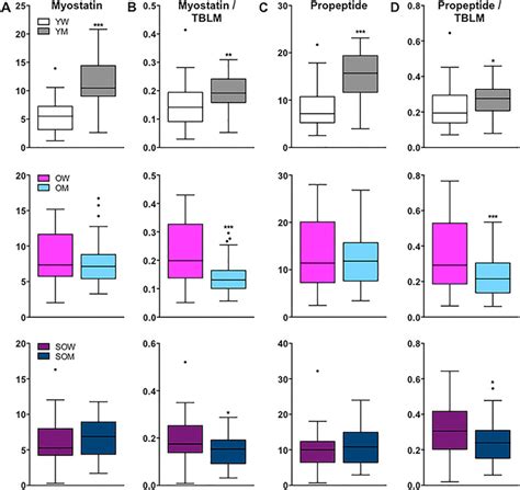 Circulating Myostatin And Propeptide Levels In Women Compared To Men Download Scientific