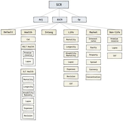 Solvency II In A Nutshell Acturtle