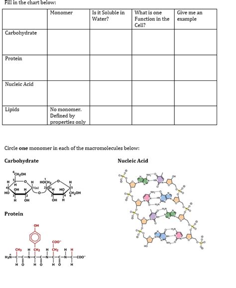 Solved Fill In The Chart Below Circle One Monomer In Each