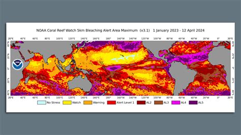 Global coral bleaching event is a warning, "not certain death"