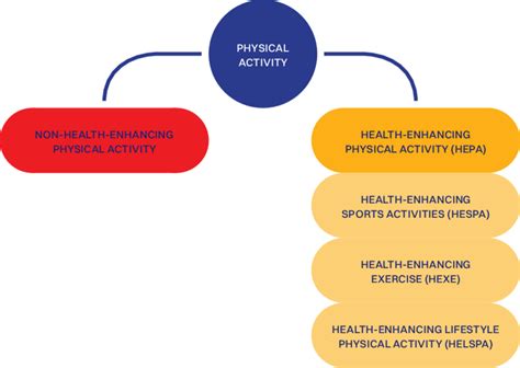 CLASSIFICATION OF PHYSICAL ACTIVITY BY TYPE AND IMPACT ON HEALTH