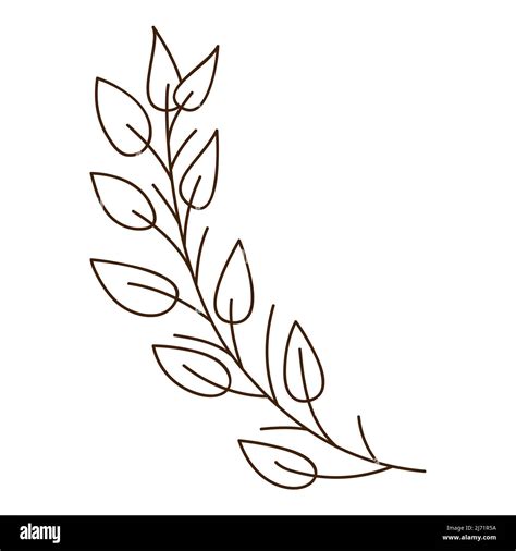 Blade Of Grass Vector