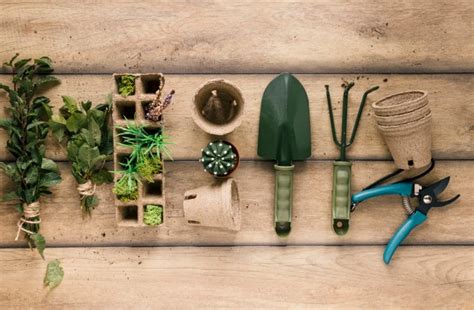 Kits De Jardinería Top 5