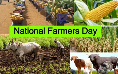 National Farmers Day Special On Soil Testing Project