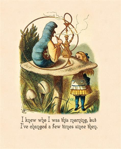 Alice In Wonderland Caterpillar Quotes - Halley Marcelline