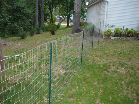 Garden fencing ideas for dogs | Hawk Haven