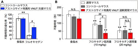 うつ病治療薬はグリア細胞に作用して治療効果を発揮することを発見 うつ病の新規創薬に期待 生理学研究所