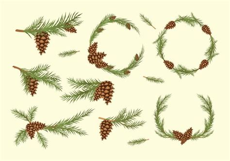 Pine Cones Vector 146305 Vector Art At Vecteezy