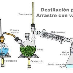 Extractor De Aceites Esenciales Por Arrastre De Vapor Montado En El