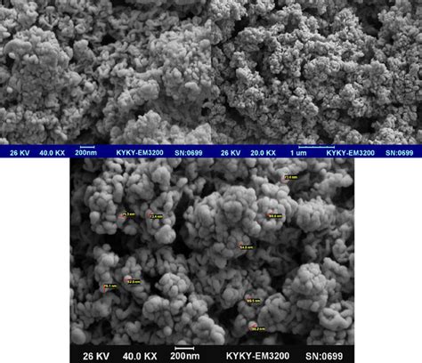 SEM images of ZnO with 12 ml of NaOH | Download Scientific Diagram