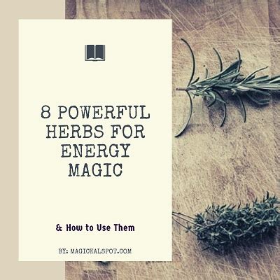 8 Powerful Herbs for Energy Magic [& How to Use Them]