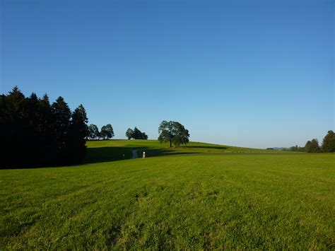 Free Images Landscape Tree Nature Horizon Mountain Cloud