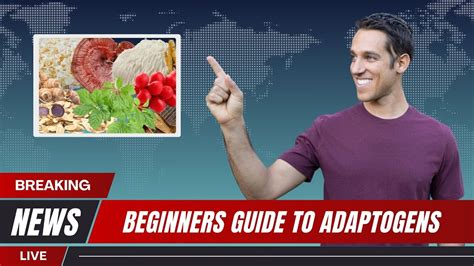 Beginners Guide To Adaptogens Youtube