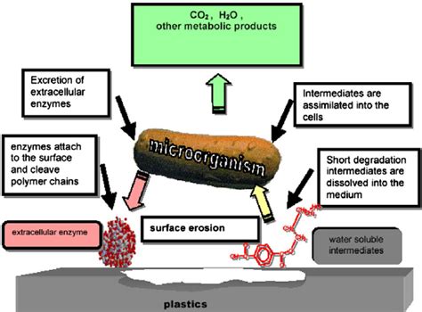 General Mechanism Of Plastic Biodegradation Under Aerobic Conditions