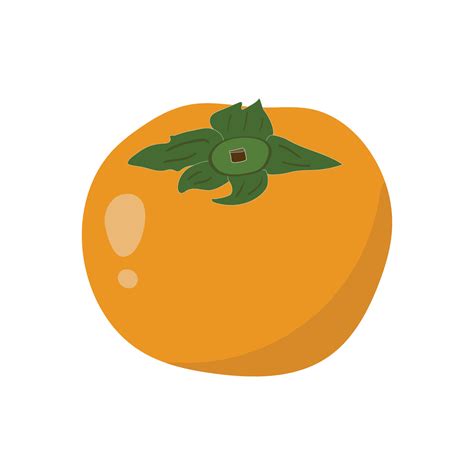 Persimmon Is Japanese Fruit Illustration Fresh Cartoon Persimmon