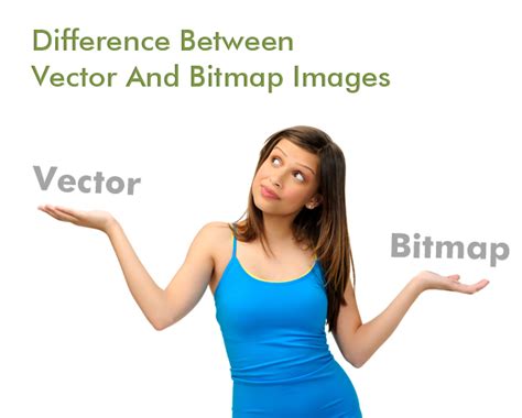 12 Difference Between Bitmap And Vector Images Vector And Bitmap