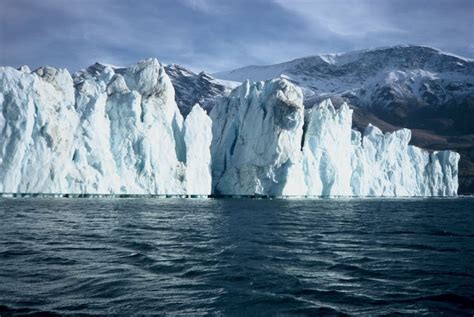 Melting sea ice is acidifying the Arctic Ocean - WWF Arctic