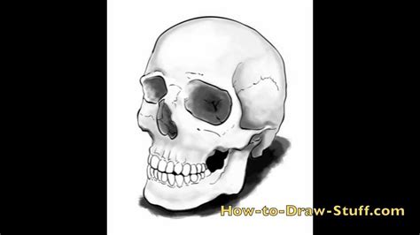 How To Draw A Skull Step By Step Youtube