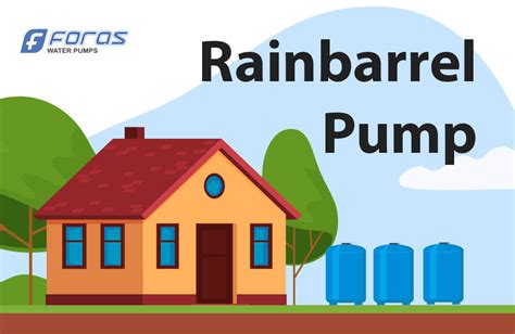 Rainbarrel Pump The Ultimate Guide To Choosing The Right Pump For