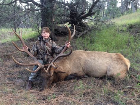 Elk Hunting In New Mexico