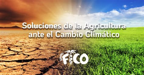 Soluciones De La Agricultura Ante El Cambio Climático Grupo Fico