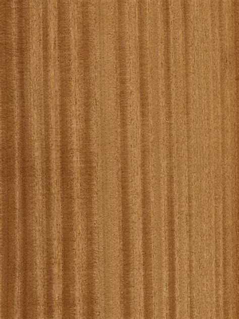 Tigerwood Wood Veneer Dooge Veneers