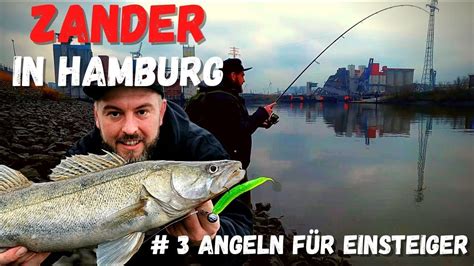 Zanderangeln F R Einsteiger Teil So F Ngst Du In Hamburg Zander