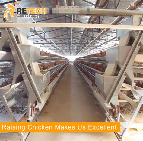 Automatic Galvanized A Type Poultry Battery Chicken Cage For Laying