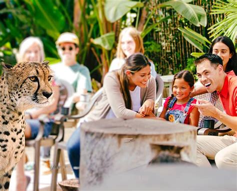 Special Experiences | San Diego Zoo