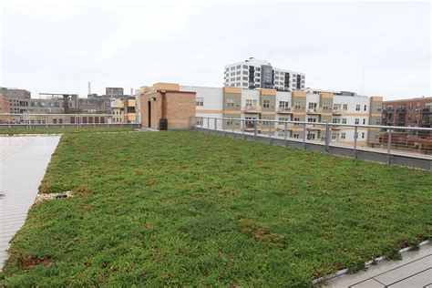 Milwaukee S 88Nine Adds LiveRoof Brand Green Roof To New Studio LiveRoof