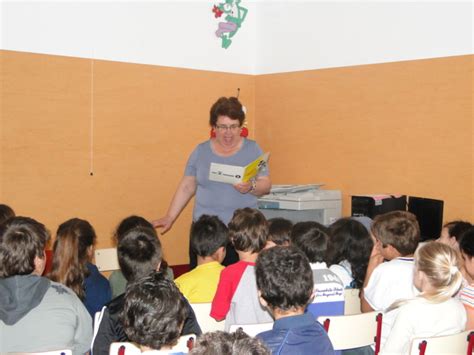 Centro Escolar Do Vale Do C Vado Projecto Biblioteca Comvida