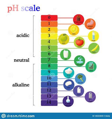 Diagrama De La Escala Del PH Con La Correspondencia Valores ácidos O