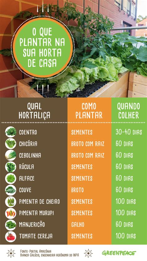 Como fazer uma horta doméstica manejo orgânico em espaços