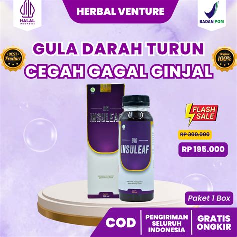 Jual BIO INSULEAF 5 BOTOL ORIGINAL BIO INSULEAF HERBAL DIABETES DAN