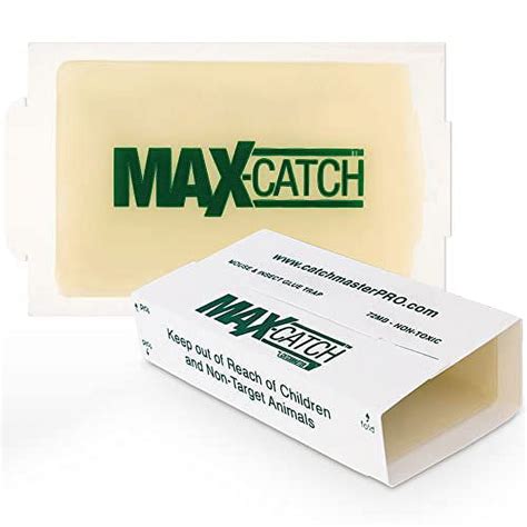 Catchmasters Master Stick 36 Pre Baited Mice And Insect Cast Glue Trap Easy To Use Non Toxic