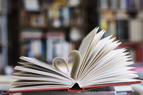 10 Llibres Que Exploren La Delicada Transició De L Amistat Al Romance