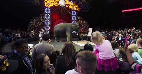 Nowhere Left To Run Away To The Final Days Of The Circus Cbs Baltimore