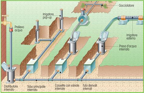 Irrigare L Orto Quando Come E Quanto Agricoltura