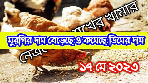 ১৭ মে 🐓 আজকের মুরগির ও ডিমের পাইকারি দাম কত জেনে নিন 🐔 Youtube