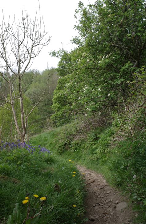 The Path To Shibden Head From Hazel Habiloid Cc By Sa